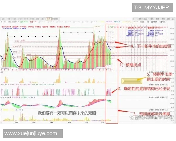 杭州攀岩队运营分析:成功经验与面临挑战的深度探讨 杭州攀岩队运营分析:成功经验与面临挑战的深度探讨