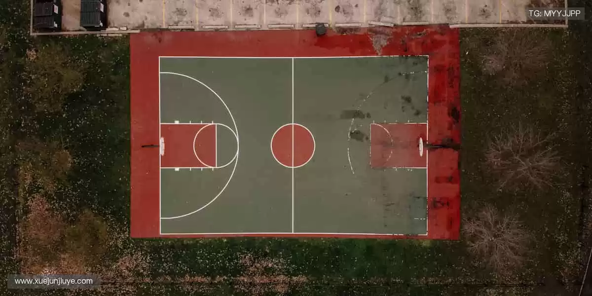 🎮 虚拟看台，弹幕狂欢，